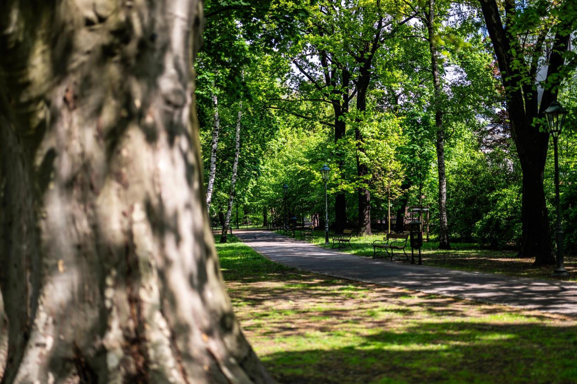 شقة Neapol Parking Gratis Moxy Te&Am Cracow كراكوفيا المظهر الخارجي الصورة